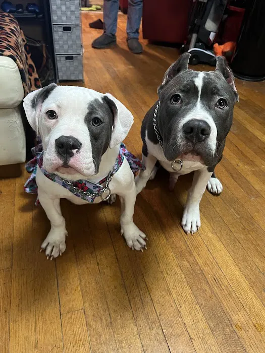 Tri-County Veterinary Clinic Picture 5