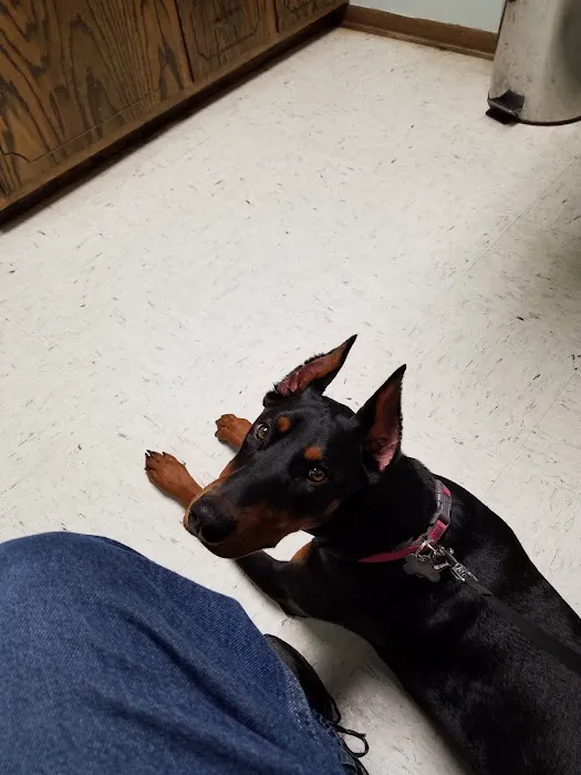 Tri-County Veterinary Clinic Picture 4