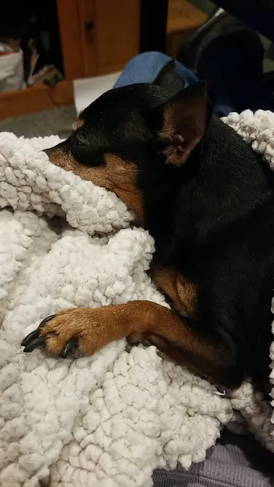 Tri-County Veterinary Clinic Picture 6