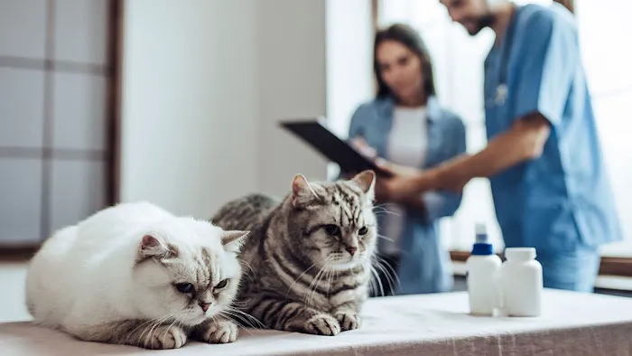 Tri-County Veterinary Clinic Picture 10