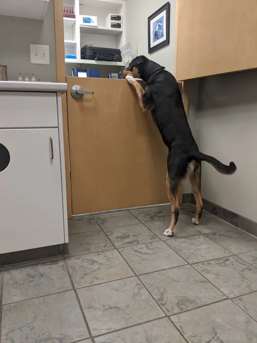 Ankeny Veterinary Clinic Picture 1