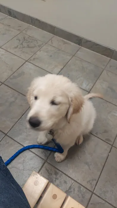 Ankeny Veterinary Clinic Picture 3