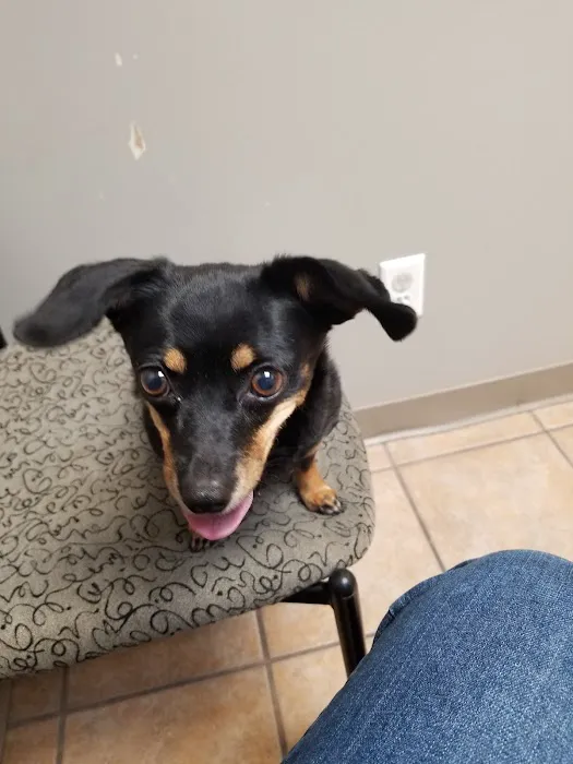 Creature Comforts Veterinary Hospital Picture 1