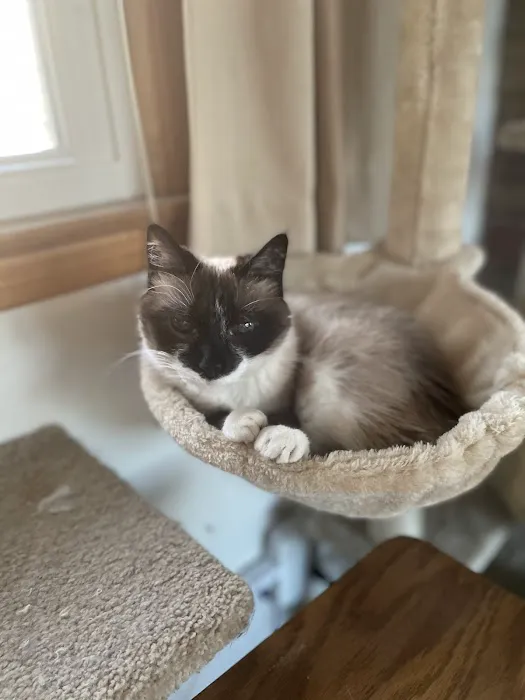 Creature Comforts Veterinary Hospital Picture 5