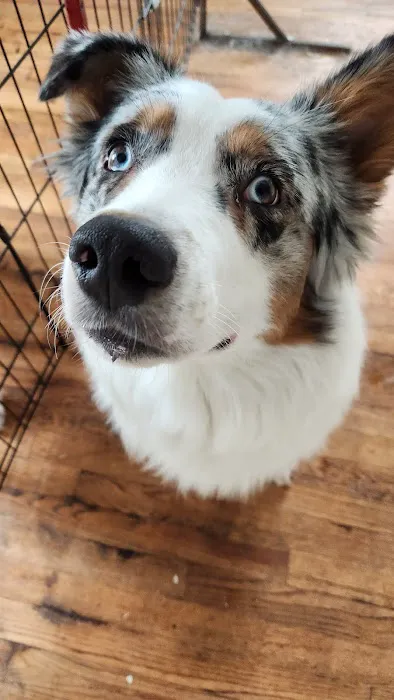 Creature Comforts Veterinary Hospital Picture 2