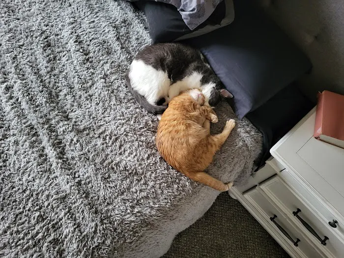 Ankeny Animal & Avian Clinic Picture 4