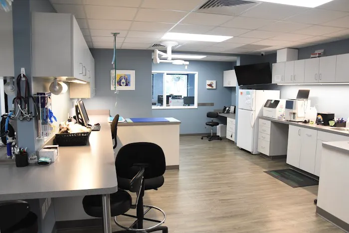 Ankeny Animal & Avian Clinic Picture 1