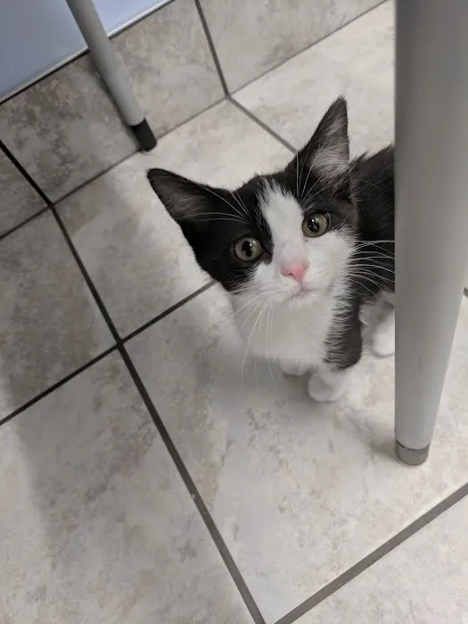 Ankeny Animal & Avian Clinic Picture 8