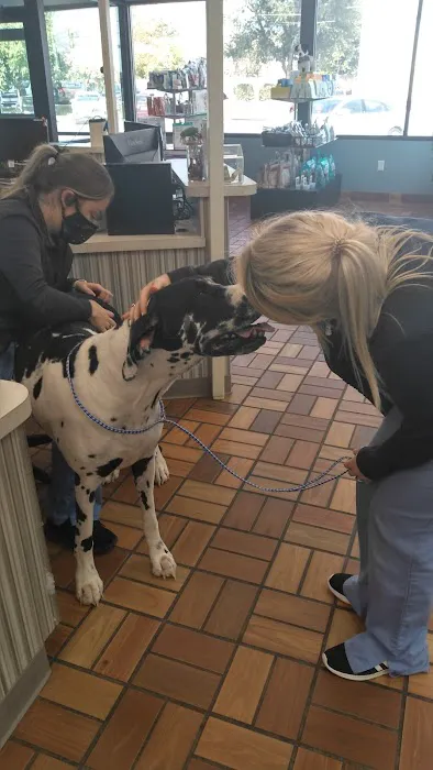 Ankeny Animal & Avian Clinic Picture 9