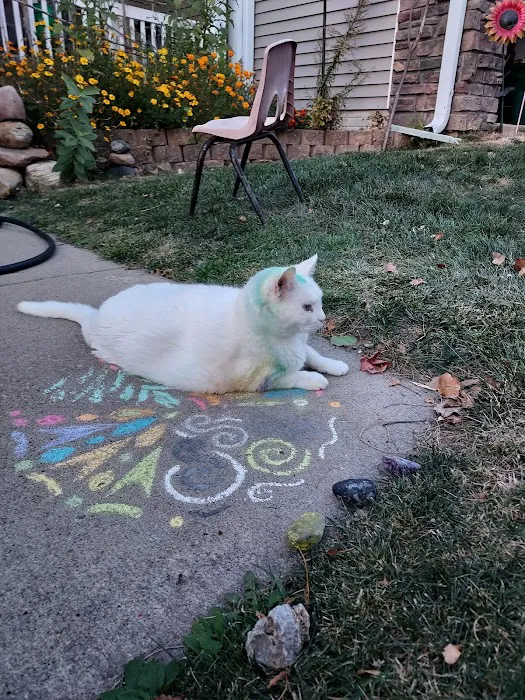 Heart of Ankeny Animal Hospital Picture 1