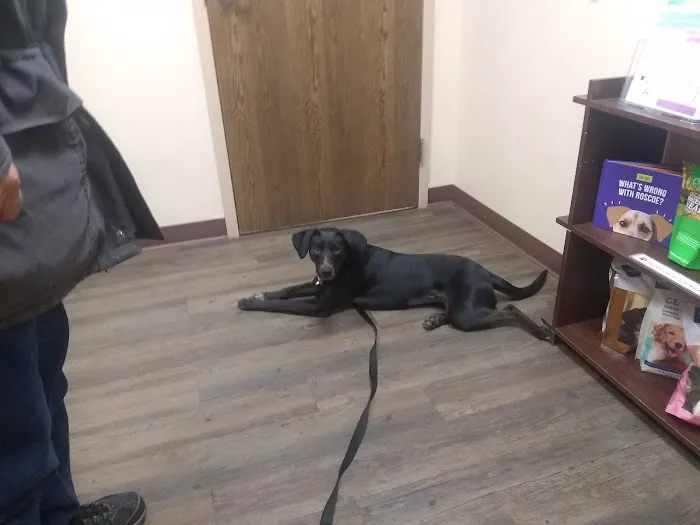 Heart of Ankeny Animal Hospital Picture 6