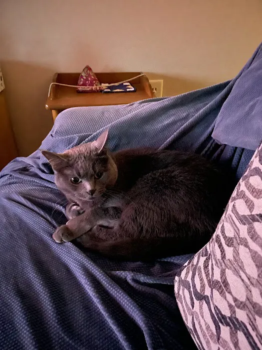 Heart of Ankeny Animal Hospital Picture 5