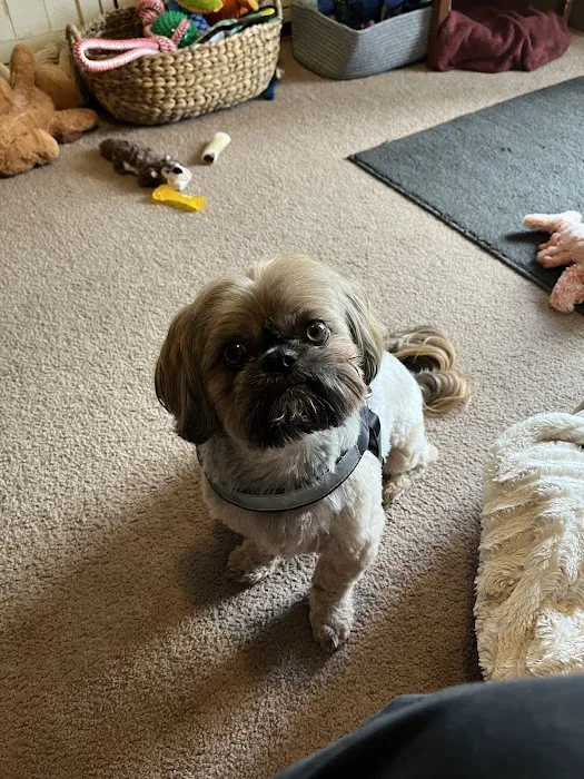 Heart of Ankeny Animal Hospital Picture 4