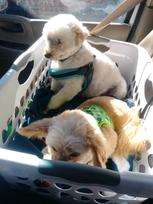 Heart of Ankeny Animal Hospital Picture 10