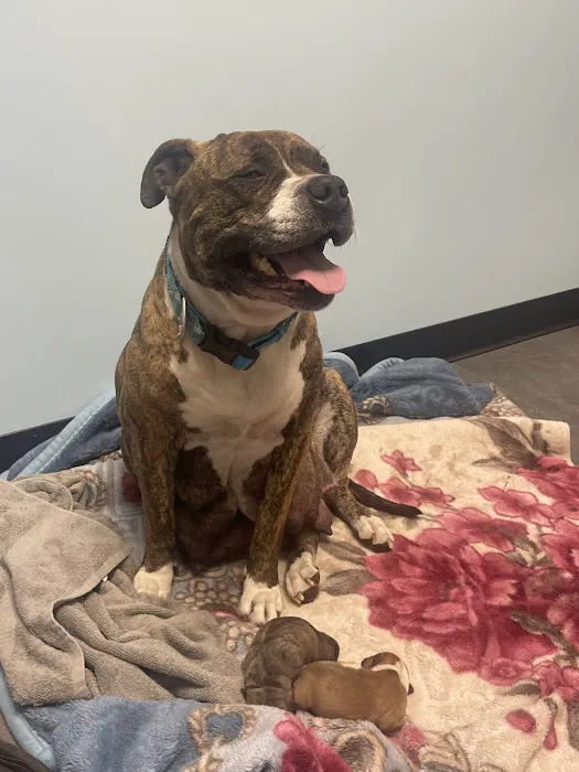 Banfield Pet Hospital Picture 1