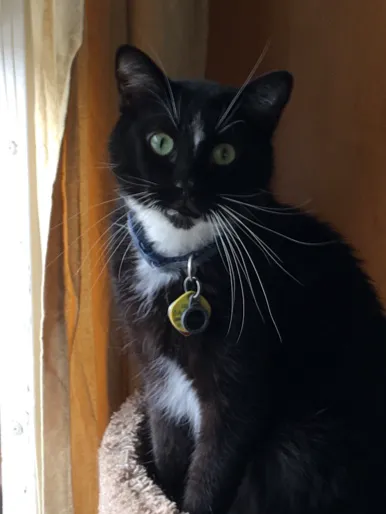 Banfield Pet Hospital Picture 6