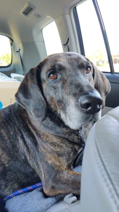 Ankeny Animal Health Clinic Picture 6