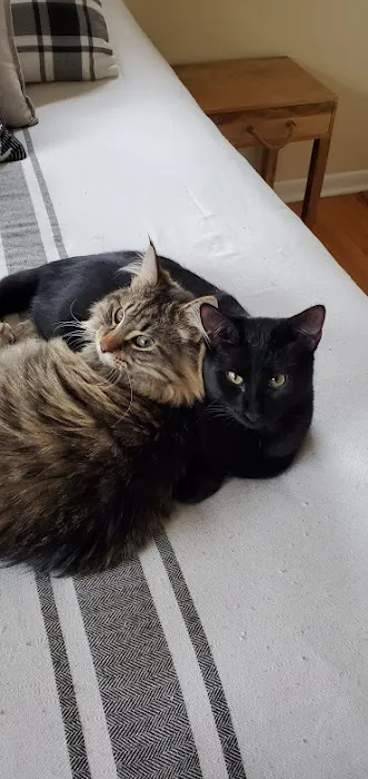 Ankeny Animal Health Clinic Picture 1