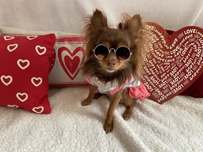 Prairie Lakes Pet Hospital Picture 2