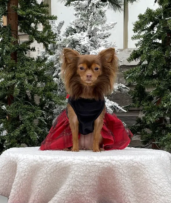 Prairie Lakes Pet Hospital Picture 1