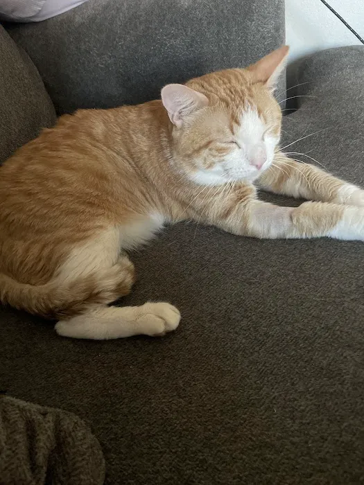 Prairie Lakes Pet Hospital Picture 7