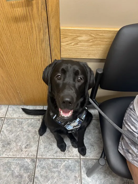 Altoona Veterinary Hospital Picture 3