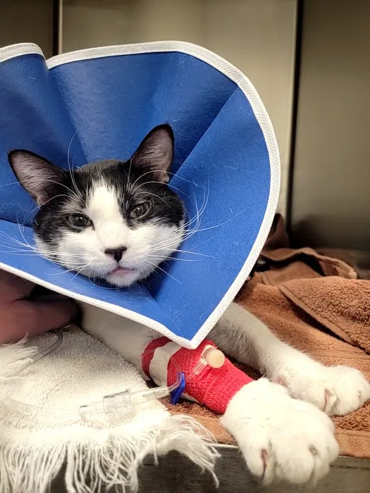 Altoona Veterinary Hospital Picture 2