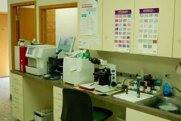 Altoona Veterinary Hospital Picture 4