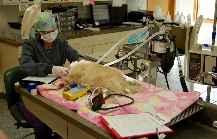 Altoona Veterinary Hospital Picture 8