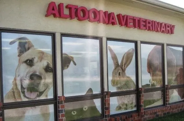 Altoona Veterinary Hospital Picture 7