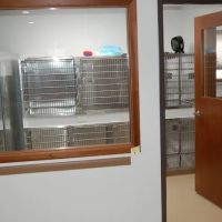 Hubbell Animal Hospital ico