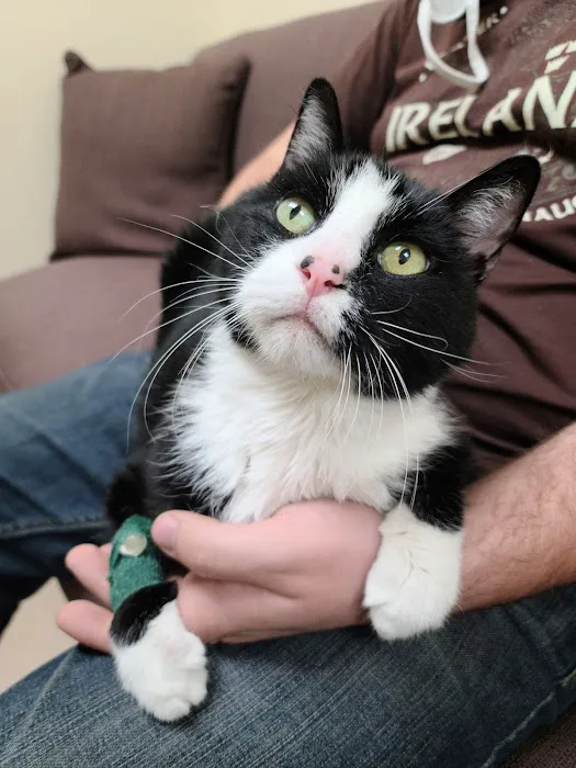 Hubbell Animal Hospital Picture 5