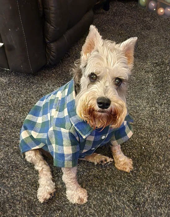 Hubbell Animal Hospital Picture 10