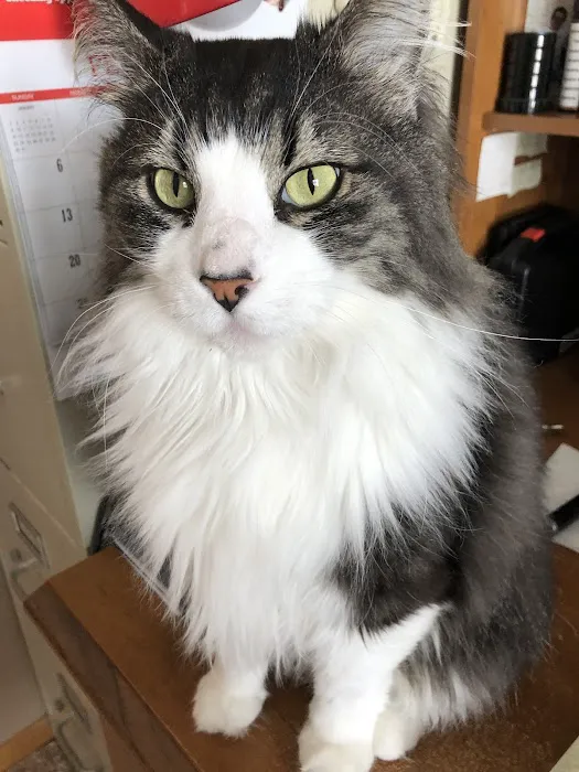 Eastown Animal Hospital Picture 3