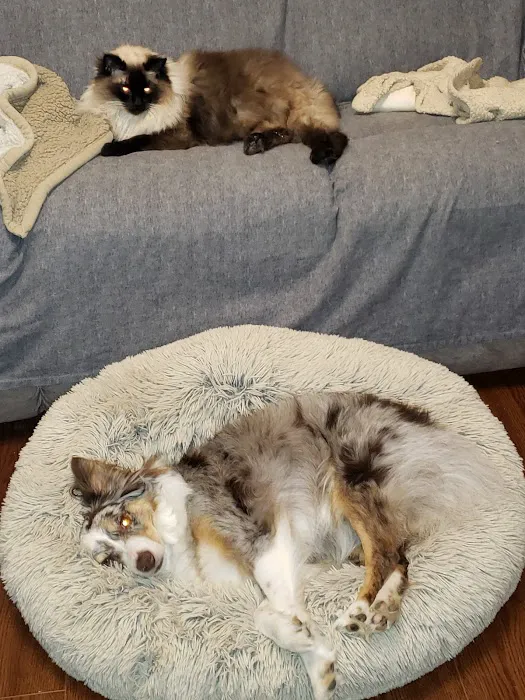 Eastown Animal Hospital Picture 1