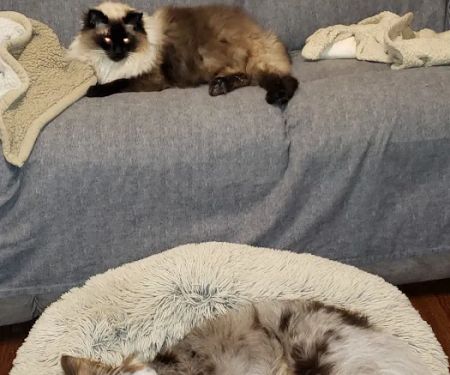 Eastown Animal Hospital