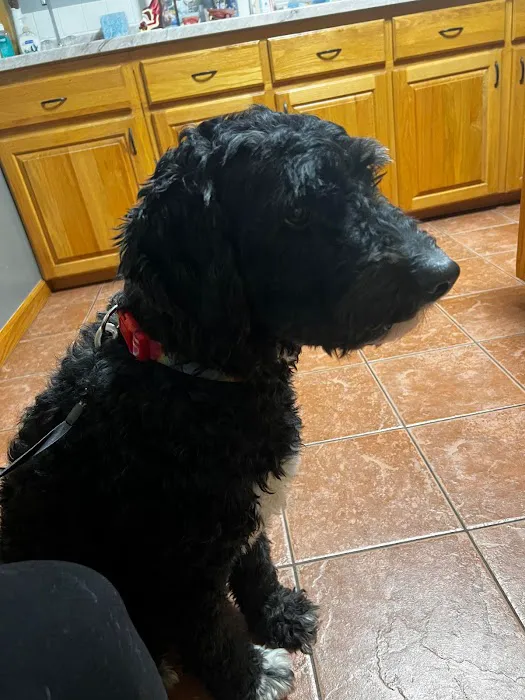 Eastown Animal Hospital Picture 10