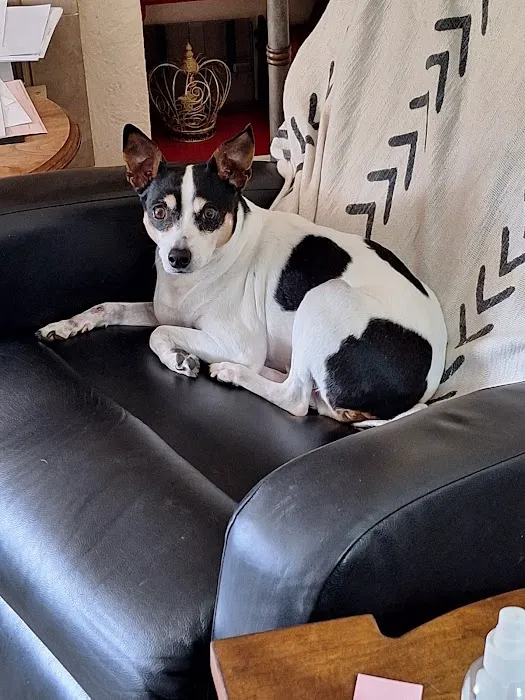 Eastown Animal Hospital Picture 8