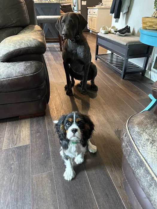 Eastown Animal Hospital Picture 6