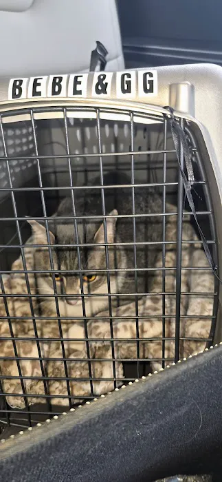 Eastown Animal Hospital Picture 7