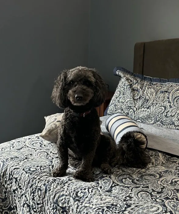 Eastown Animal Hospital Picture 9