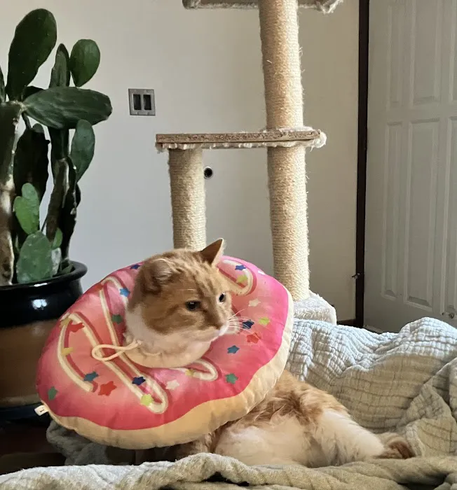 Healing Paws Veterinary Clinic Picture 3