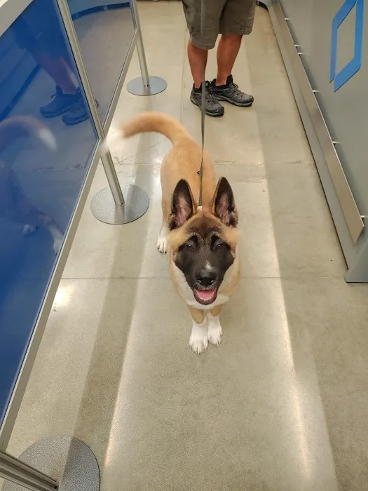 Healing Paws Veterinary Clinic Picture 8