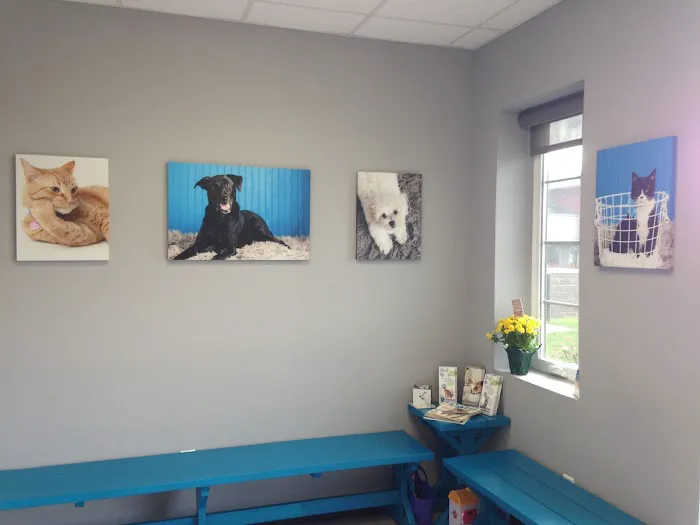 Healing Paws Veterinary Clinic Picture 7