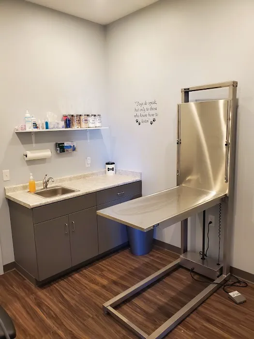 Van Wyk Veterinary Clinic Picture 3