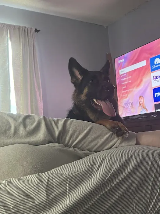 Van Wyk Veterinary Clinic Picture 1