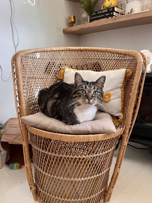 Pella Pets Veterinary Clinic Picture 3