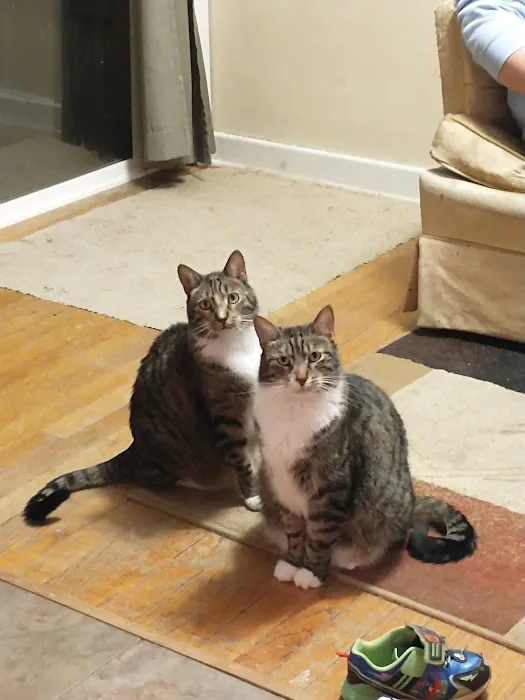 Pella Pets Veterinary Clinic Picture 2