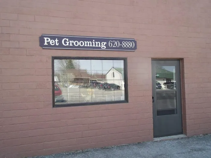 Pella Pets Veterinary Clinic Picture 1