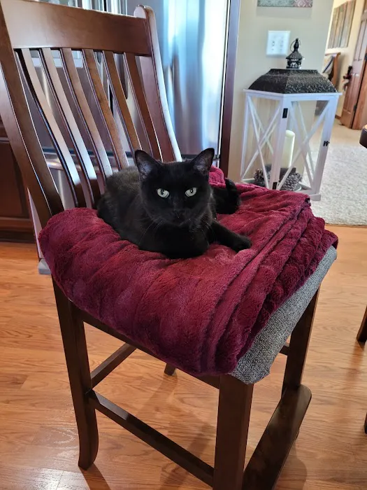 Pella Pets Veterinary Clinic Picture 7